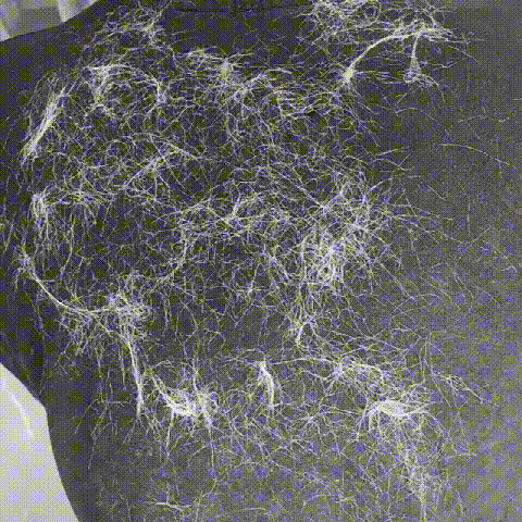 1713029700948726.gif