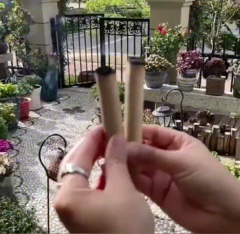 1780981758793748.gif 10008.gif