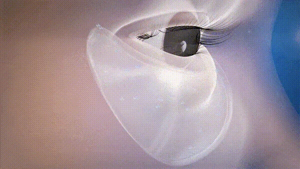 1781243292405383.gif